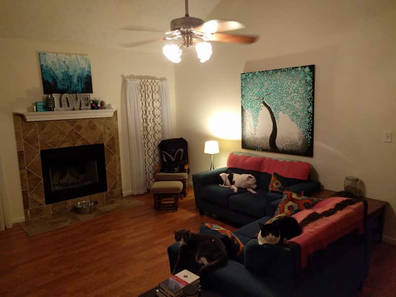 Housesitting assignment in Stockbridge, Georgia, United States