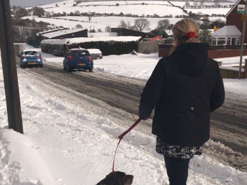 Housesitting assignment in Crook, United Kingdom