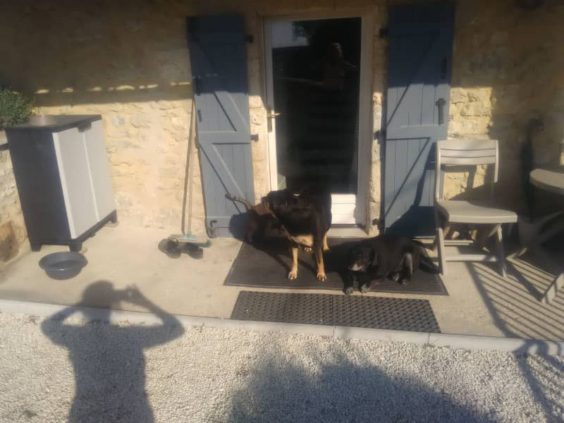 Housesitting assignment in Brantôme, France