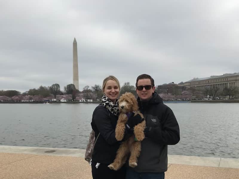 Housesitting assignment in Shirlington, Virginia, United States