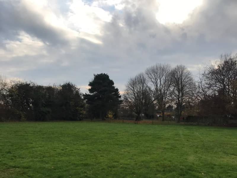 Housesitting assignment in Rugby, United Kingdom