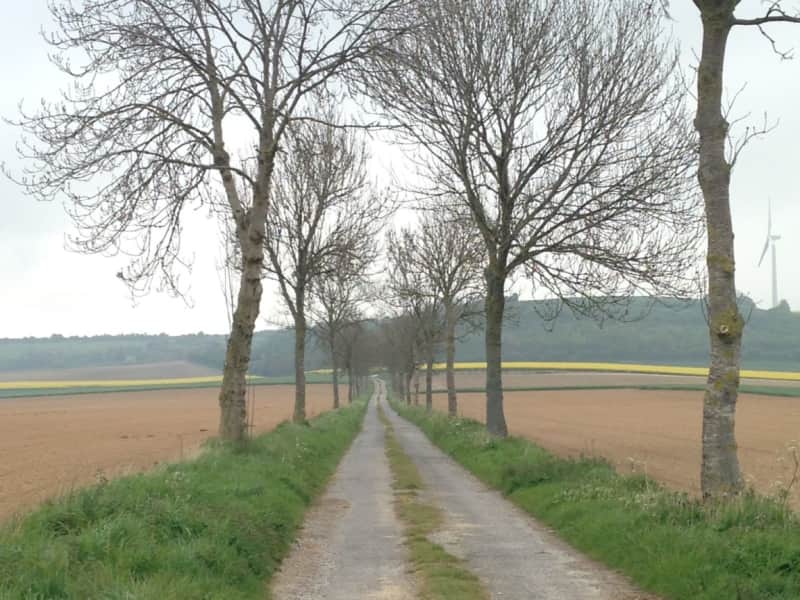 Housesitting assignment in Fruges, France