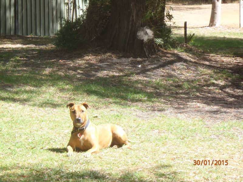 Clare from Margaret River, Western Australia, Australia
