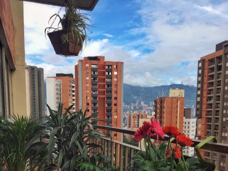 Housesitting assignment in Medellín, Colombia