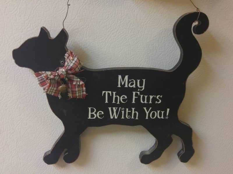 Housesitting assignment in Reno, Nevada, United States