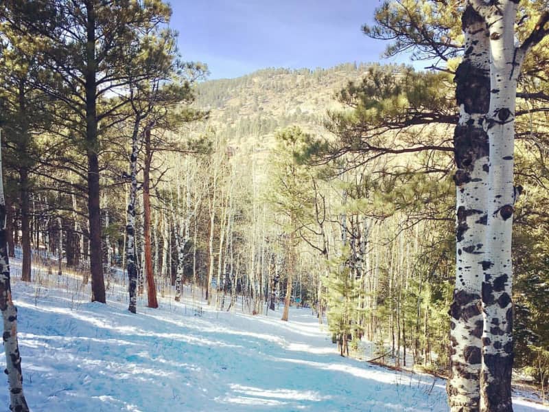 Holly from Evergreen, Colorado, United States