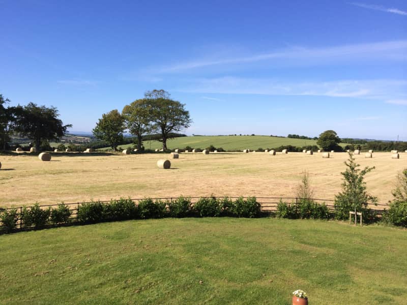 Housesitting assignment in Naul, Ireland