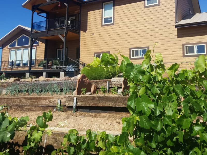 Housesitting assignment in Taylor, Arizona, United States