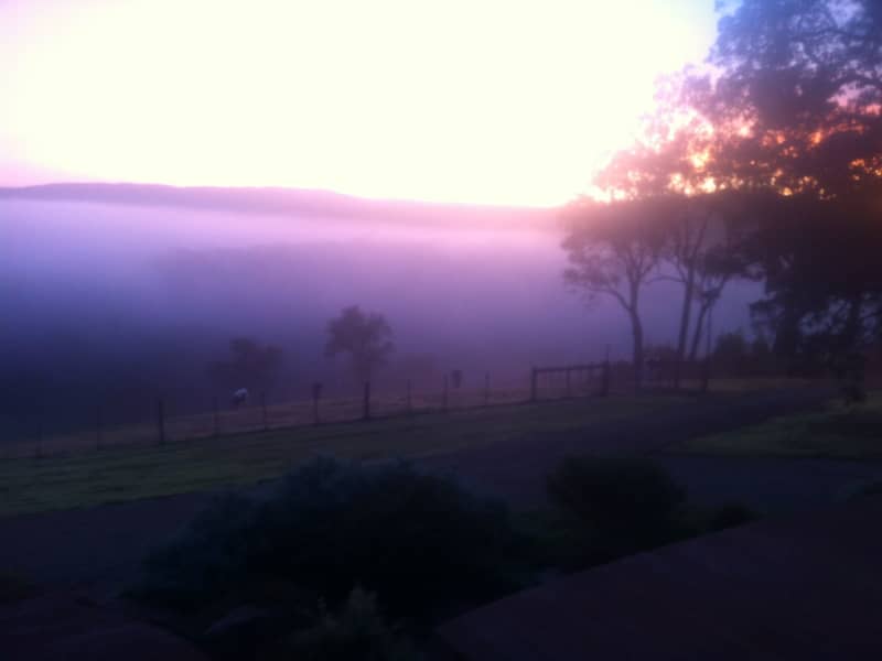Housesitting assignment in Smiths Gully, Victoria, Australia