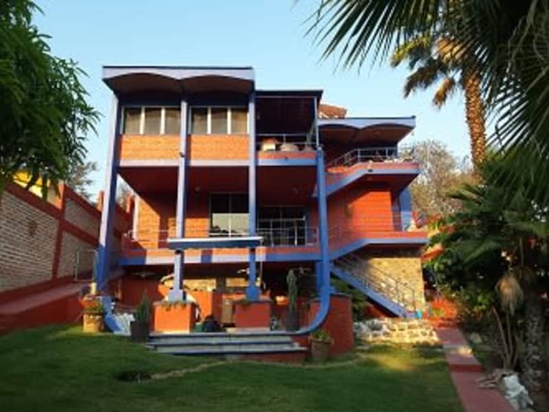 Housesitting assignment in Chapala, Mexico