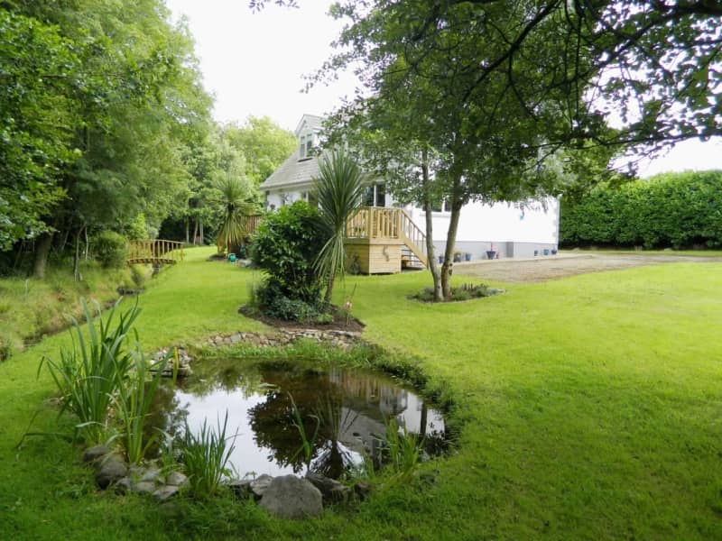 Housesitting assignment in Dublin, Ireland