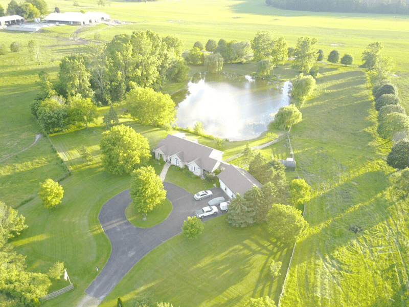Housesitting assignment in Tillsonburg, Ontario, Canada