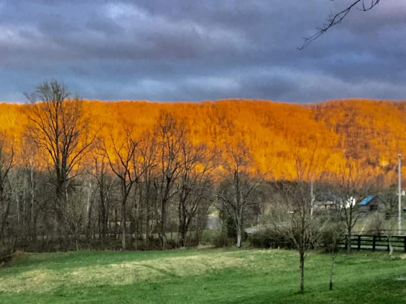 Housesitting assignment in Martinsburg, West Virginia, United States
