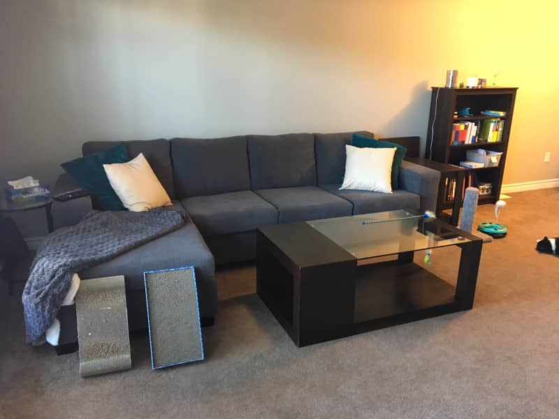 Housesitting assignment in Nepean, Ontario, Canada