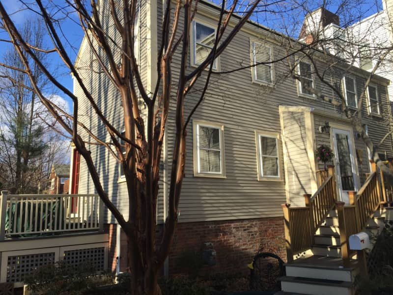 Housesitting assignment in Cambridge, Massachusetts, United States