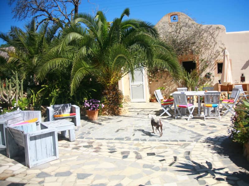 Housesitting assignment in Ibiza, Spain