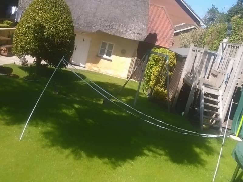 Housesitting assignment in Aylesbury, United Kingdom