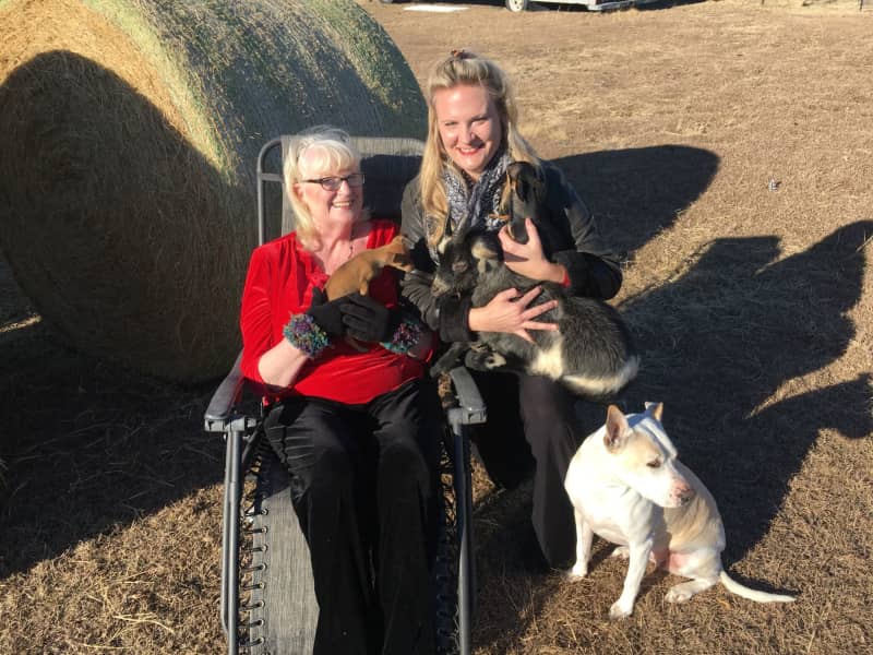 Housesitting assignment in Rockwall, Texas, United States