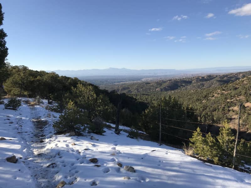 Housesitting assignment in Santa Fe, New Mexico, United States