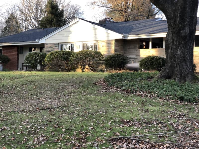 Housesitting assignment in Baltimore, Maryland, United States