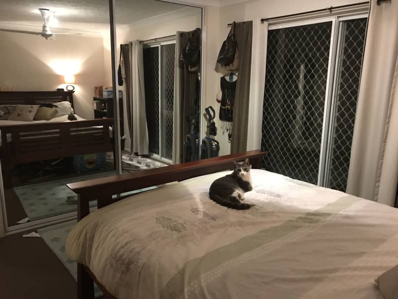 Housesitting assignment in Brisbane, Queensland, Australia