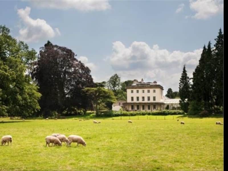 Housesitting assignment in Abergavenny, United Kingdom