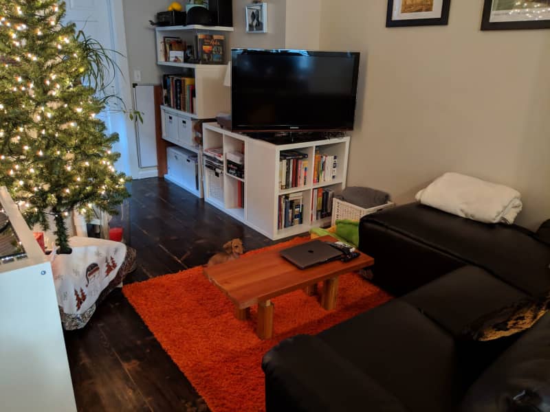 Housesitting assignment in Manhattan, New York, United States