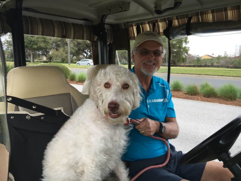 Housesitting assignment in The Villages, Florida, United States