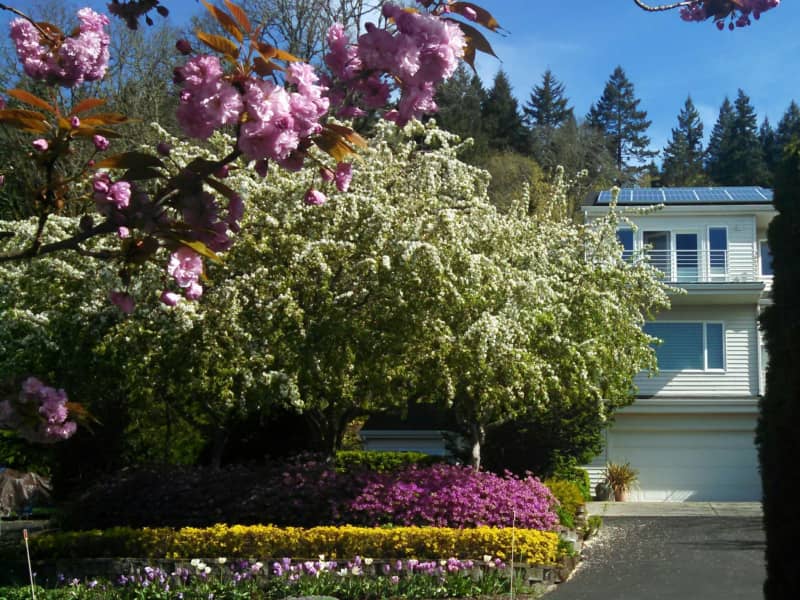 Housesitting assignment in Washougal, Washington, United States