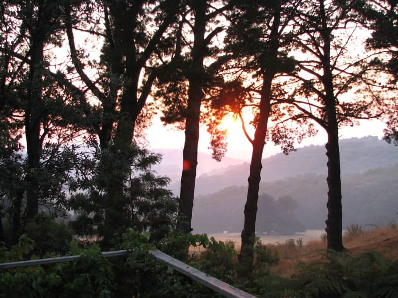 Housesitting assignment in Pakenham Upper, Victoria, Australia