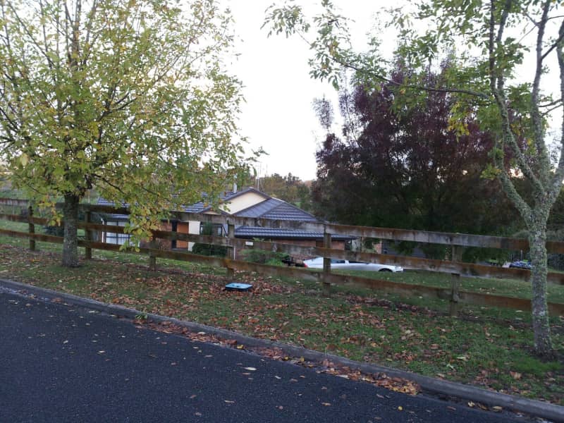 Housesitting assignment in Hamilton, New Zealand