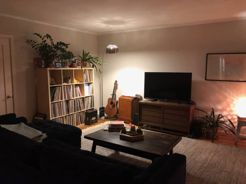 Housesitting assignment in San Francisco, California, United States