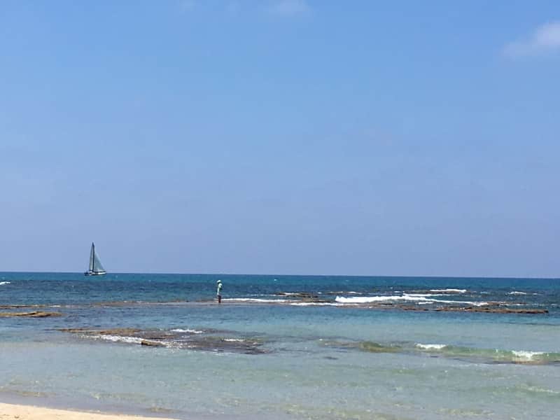 Housesitting assignment in Netanya, Israel