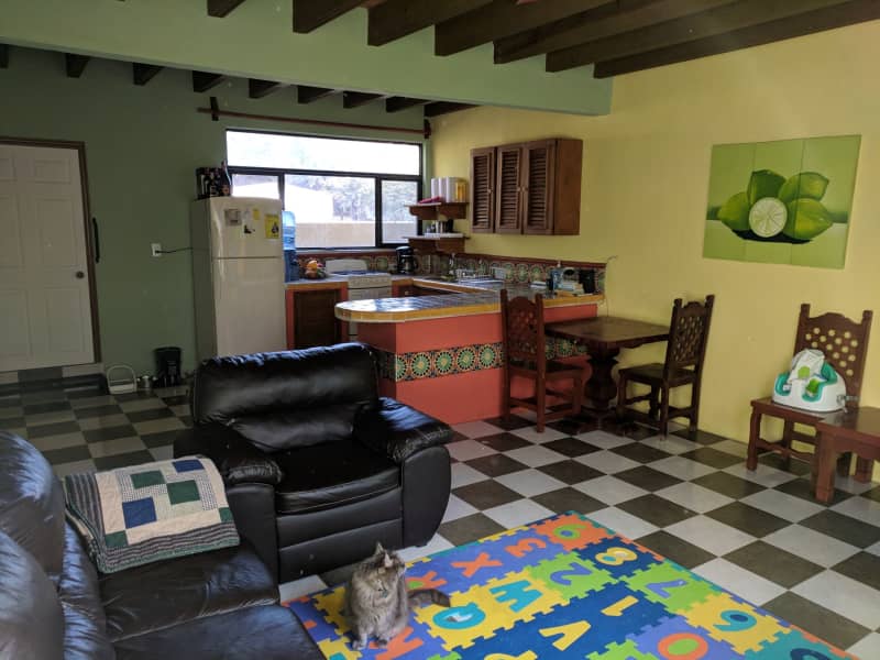 Housesitting assignment in San Miguel de Allende, Mexico
