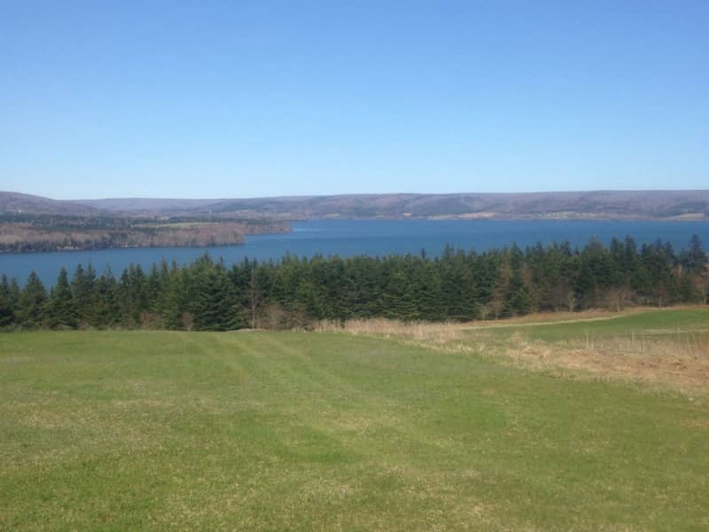 Housesitting assignment in Inverness, Nova Scotia, Canada
