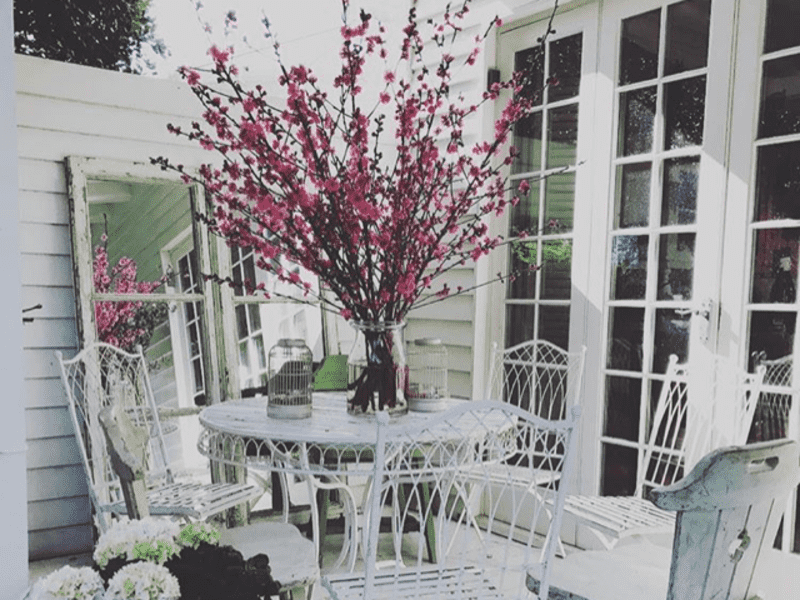 Housesitting assignment in Southfields, United Kingdom