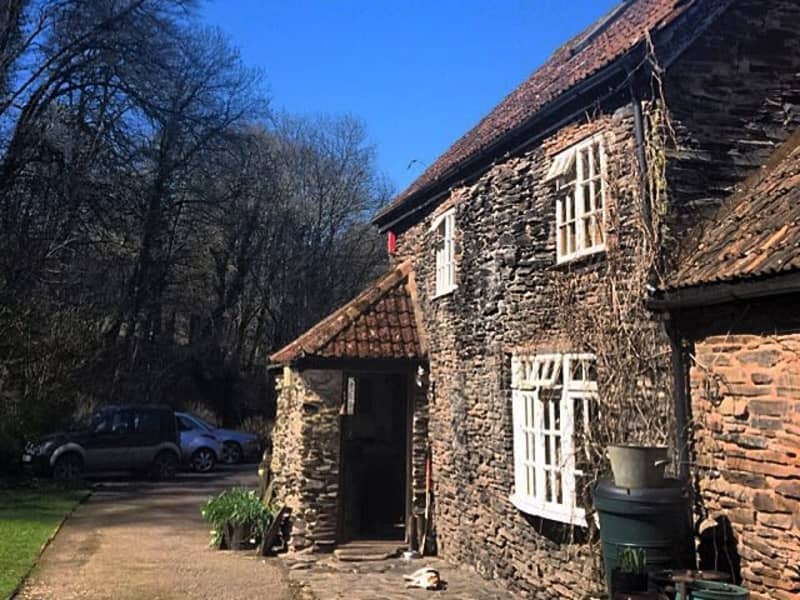 Housesitting assignment in Wellington, United Kingdom
