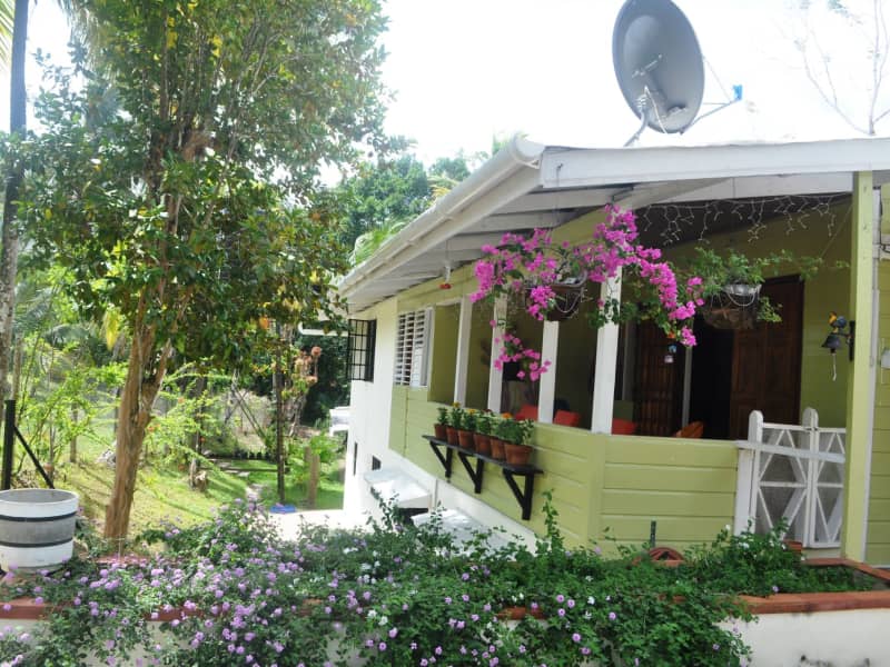 Housesitting assignment in Sangre Grande, Trinidad and Tobago