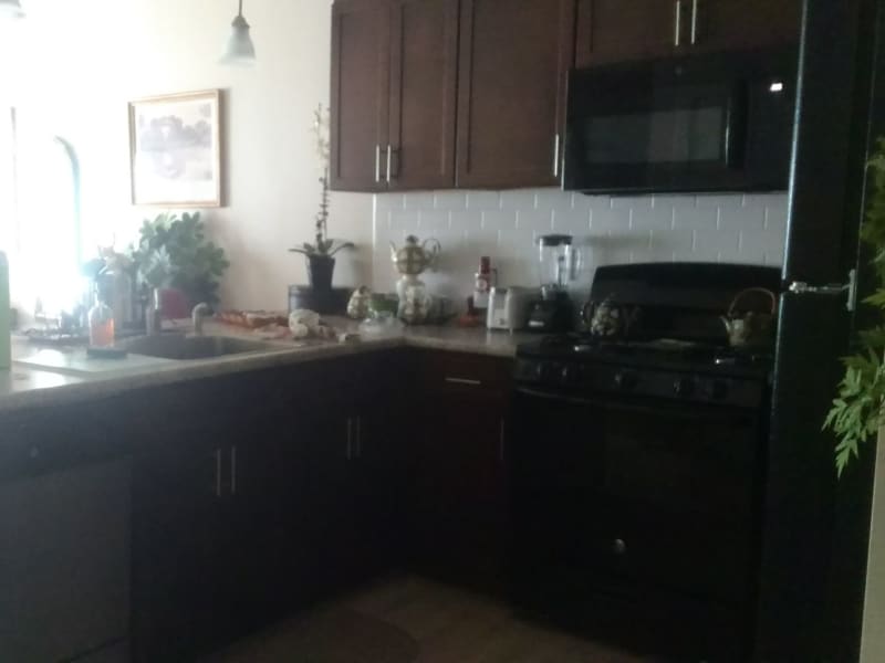 Housesitting assignment in New Canaan, Connecticut, United States