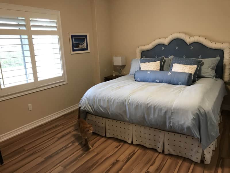 Housesitting assignment in Rockwood, Ontario, Canada