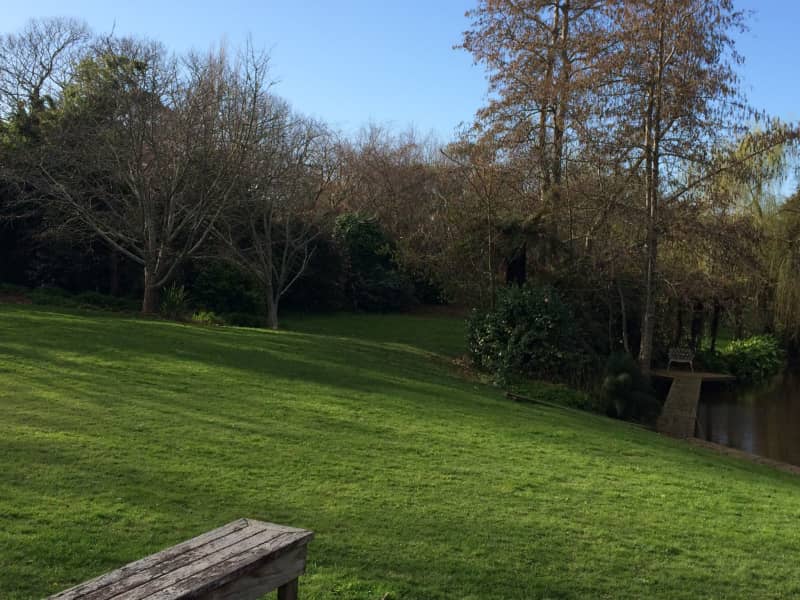 Housesitting assignment in Levin, New Zealand