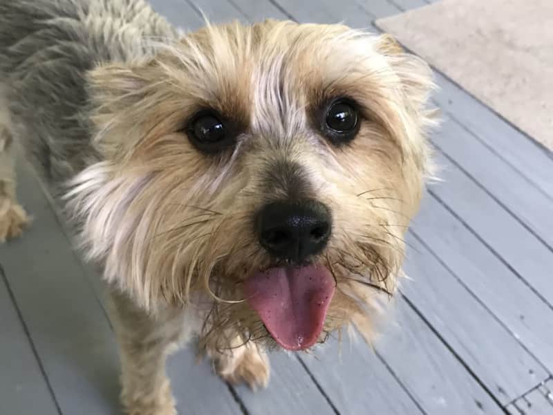 Rupert from Hammond, Louisiana, United States