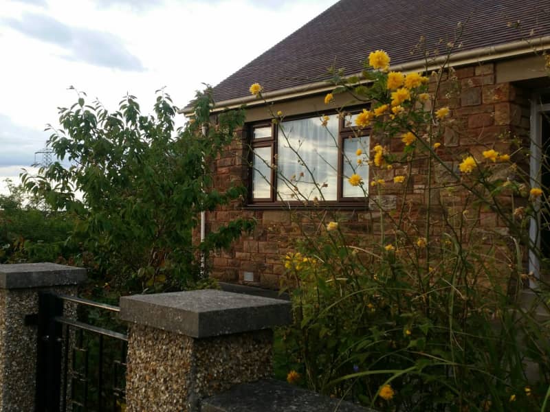 Housesitting assignment in Edinburgh, United Kingdom