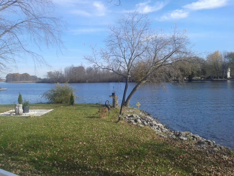 Housesitting assignment in Kars, Ontario, Canada