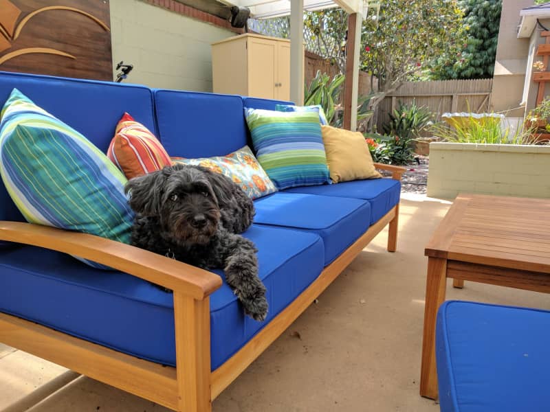 Housesitting assignment in Long Beach, California, United States