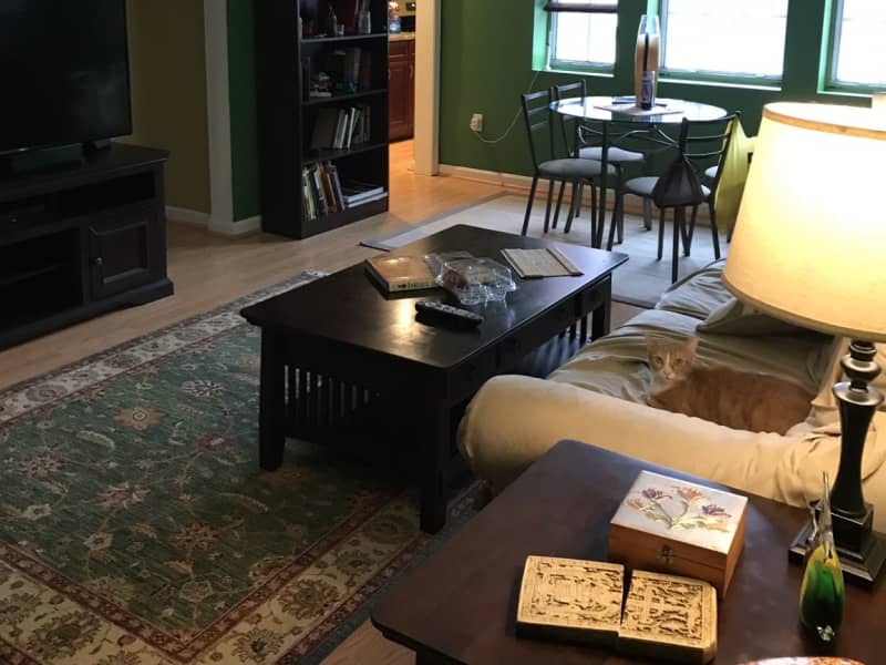 Housesitting assignment in Arlington, Virginia, United States