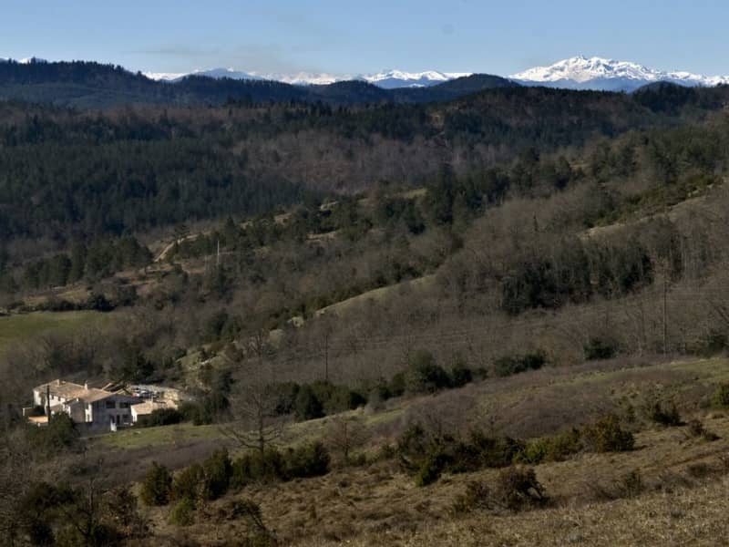 Housesitting assignment in Albières, France