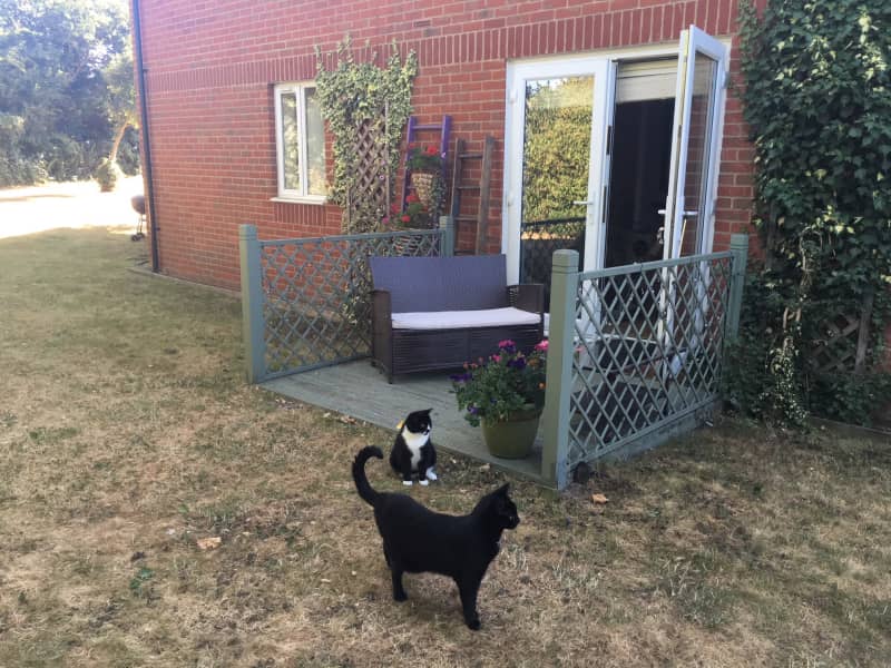 Housesitting assignment in Binfield, United Kingdom
