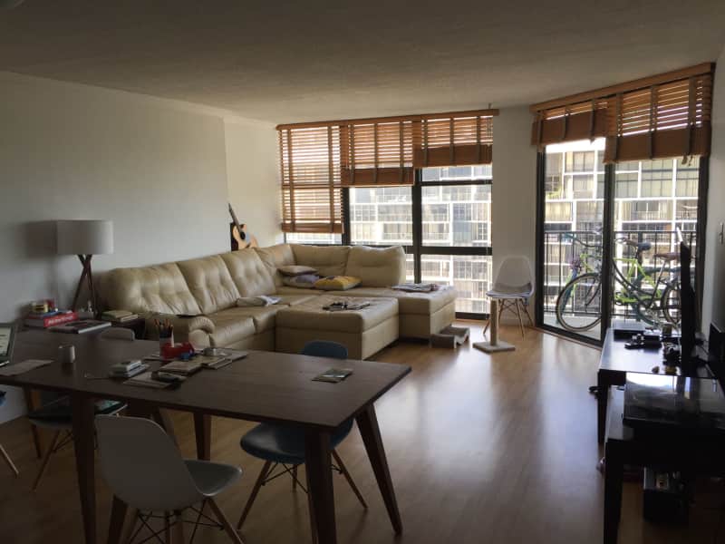 Housesitting assignment in Miami, Florida, United States