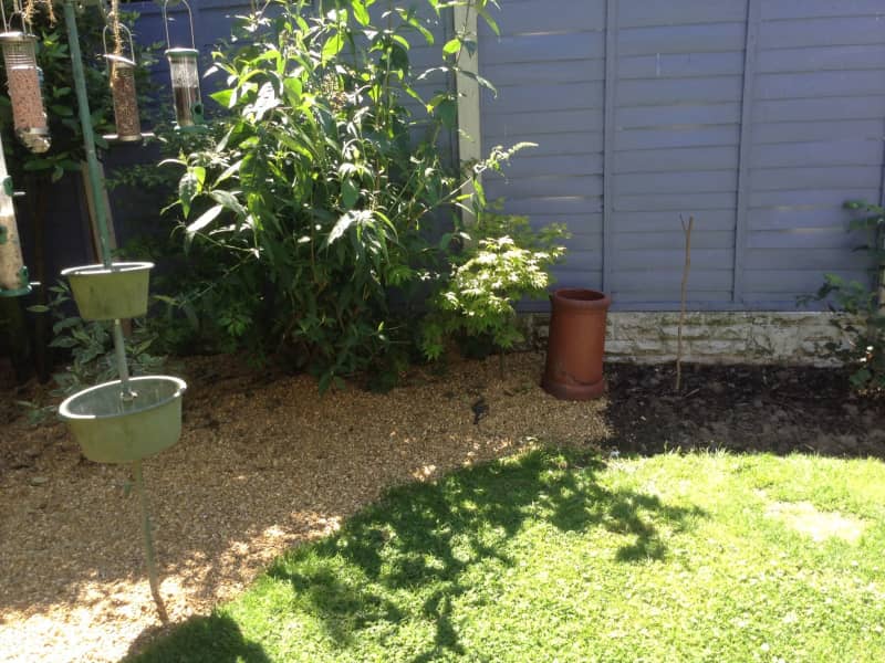 Housesitting assignment in Liverpool, United Kingdom